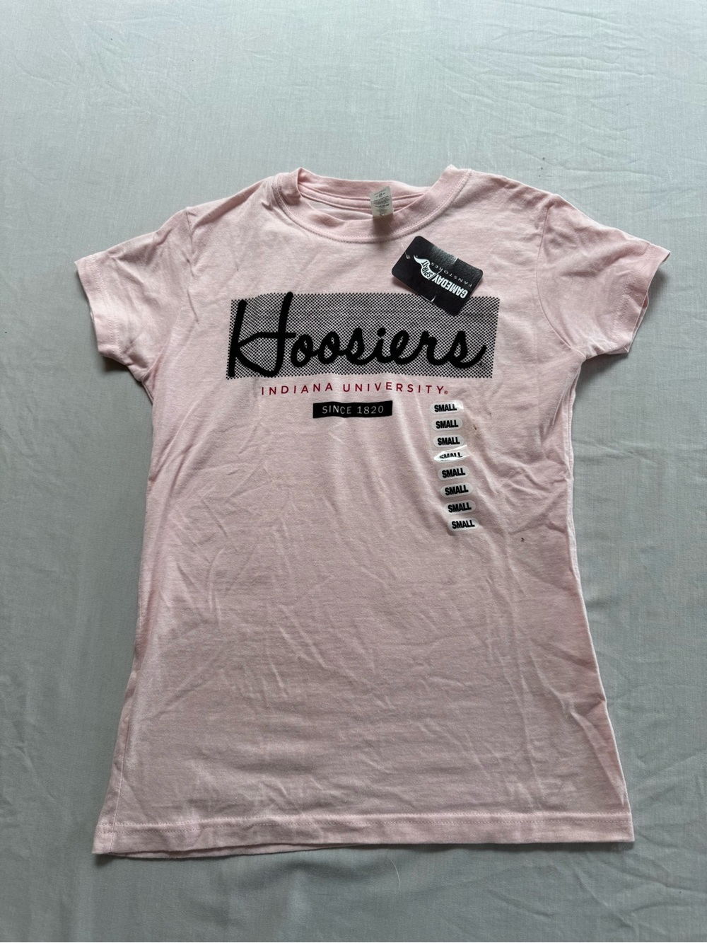 Women's Short Sleeve Tee in Light Pink